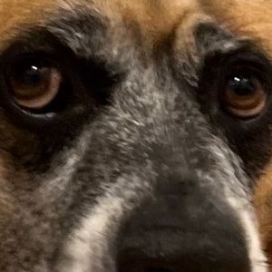 Meet your Posher, Mark